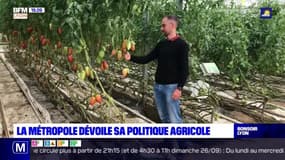 La Métropole a dévoilé sa politique agricole