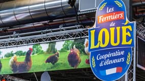 LDC progressse en Bourse