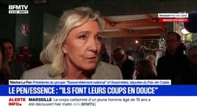 Hausse du prix de l'essence: Marine Le Pen affirme que le gouvernement fait des "coups en douce"