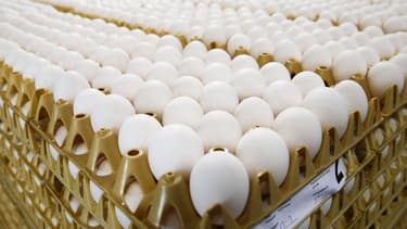 Des oeufs contaminés "à faible dose" par le Fipronil ont été retrouvés en France. (image d'illustration)