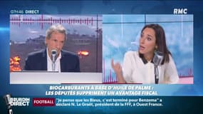 Brune Poirson: "La France a fait inscrire au Conseil des Ministres européens de l'environnement des mesures contre l'huile de palme.