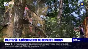 Rhône: le Bois des lutins, un parc ludique coupé du monde