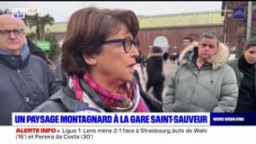 Lille: un paysage montagnard à la gare Saint-Sauveur jusqu'au 10 mars