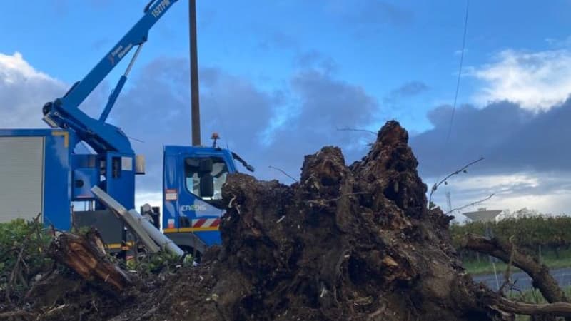 Enedis a déployé sa force d'intervention pour rétablir au plus vite l'électricité 
