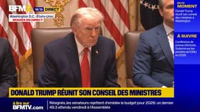 Donald Trump assure que Poutine lui a promis de ne pas frapper Kiev "pendant une semaine" en raison des températures hivernales