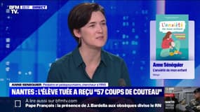 Santé mentale des jeunes: "C'est vrai que chez les adolescents, le lycée représente la totalité du monde", explique Anne Senequier, pédopsychiatre