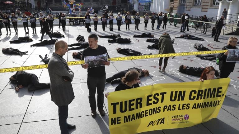 Action coup de poing de Peta France à Paris le 1er novembre 2017 -