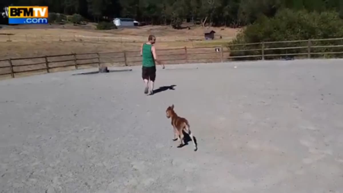 placeholder video