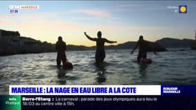 Marseille: la nage en eau libre attire de plus en plus d'aventuriers