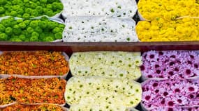 Les ventes d'Interflora pour la fête des grands mères ont explosé en 2016, alors que celles de ses concurrents sont restées stables. 