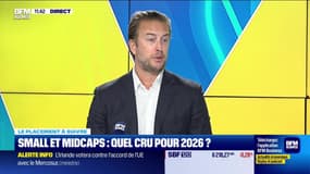 Le placement à suivre : Small et Midcaps, quel cru pour 2026 ? - 08/01