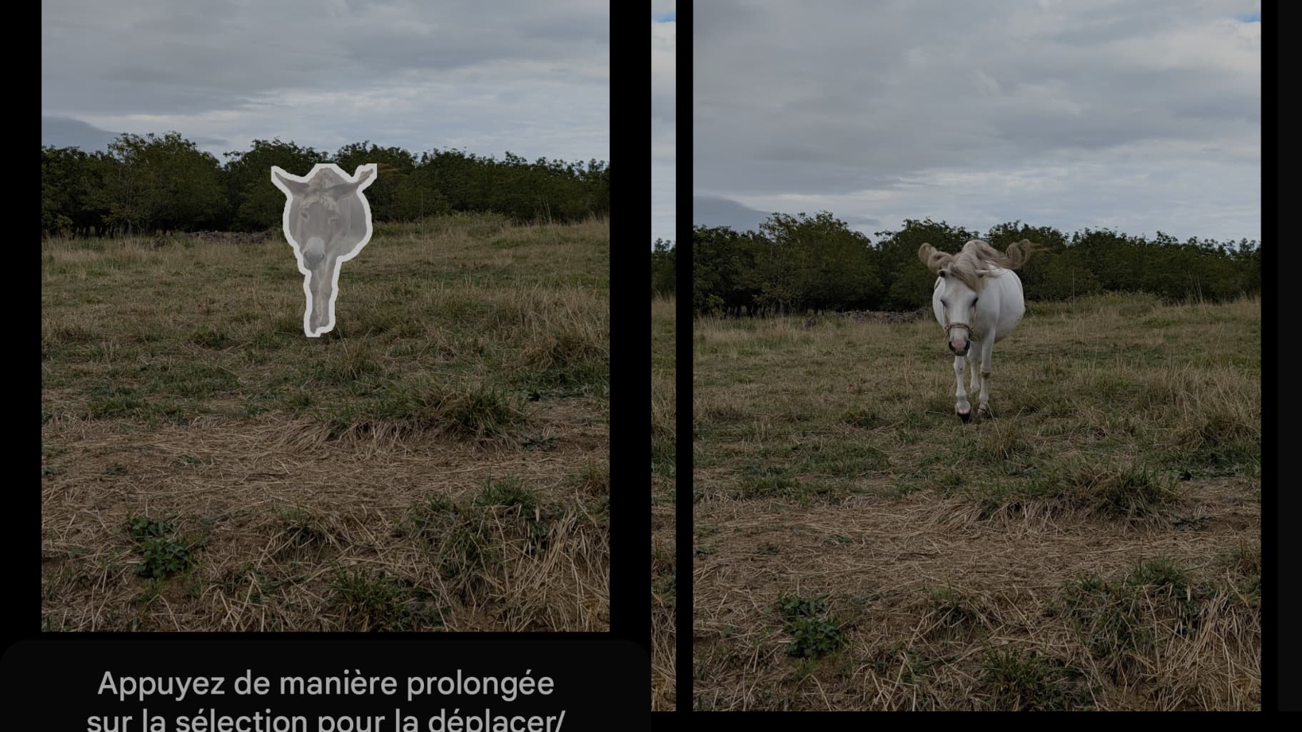 Sur le Pixel 9, on peut utiliser Gemini pour améliorer ses photos ou au contraire modifier certains éléments grâce à des prompts.