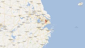 Près de 3.000 cadavres de porcs repêchés dans le fleuve de Shanghai