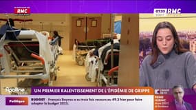 Un premier ralentissement de l'épidémie de grippe 