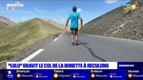 Alpes-de-Haute-Provence: "Lulu" a gravi le Col de la Bonette en courant à reculons 