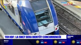 Hauts-de-France: la SNCF sera bientôt concurrencée sur les TER