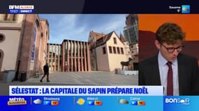 Le marché de Noël de Sélestat en pleine préparation, dans une ambiance "forestière"