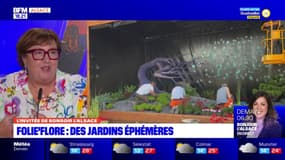Avec les Journées d'octobre, c'est également le retour de Folie'Flore à Mulhouse