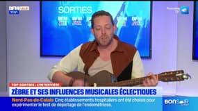 Top Sorties Lille du vendredi 21 février - Zèbre et ses influences musicales éclectiques