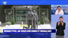 Monkeypox, un virus méconnu et menaçant - 24/07