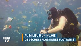 À Bali, un plongeur filme une mer polluée par le plastique