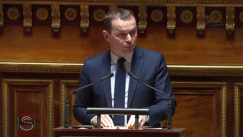 Olivier Dussopt au Sénat: 