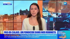 Bonsoir Lille du mercredi 28 janvier 2026