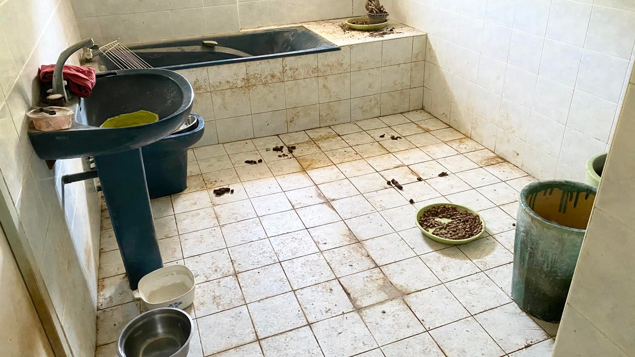 Les policiers ont découvert l'environnement dans lequel vivaient les animaux.