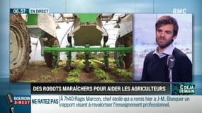 La chronique d'Anthony Morel : Des robots maraîcheurs pour aider les agriculteurs - 23/02