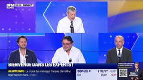 Les Experts : Simplification, le projet de loi examiné - 26/03