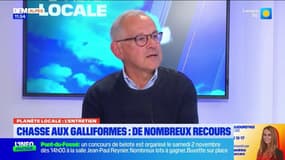 Hautes-Alpes : la suspension de la chasse aux galliformes