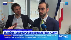 Aix-en-Provence : la sous-préfecture sensibilise face aux attaques de loups