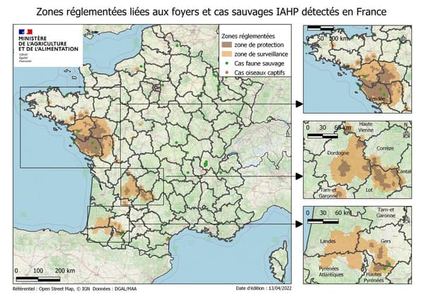 Le dernier bilan en date de l'épizootie de grippe aviaire en France par le ministère de l'Agriculture.