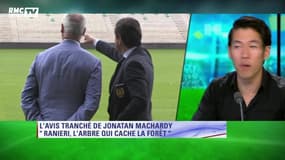 Nantes - Ranieri, "l’arbre qui cache la forêt" pour Jonatan MacHardy