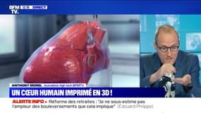 Aux Etats-Unis, un cœur humain imprimé en 3D - 12/09