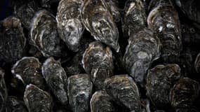 Des huîtres dans le bassin d'Arcachon,  le 19 janvier 2024 (photo d'illustration).