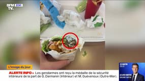 L'image du jour : Il retrouve un escargot dans son sandwich - 20/05