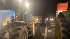 Depuis 5 heures ce lundi 29 janvier, un cortège composé d'environ 80 tracteurs est mobilisé aux portes de Lyon sur l'A450.