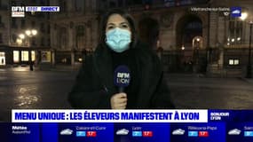 Menu unique: les éleveurs manifestent à Lyon