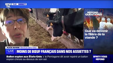 Est-ce que la filière de bœuf français est menacée? BFMTV répond à vos questions