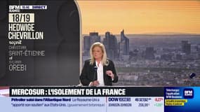 Mercosur : l'heure de vérité à Bruxelles - 07/01