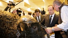 François Hollande a donné des garanties aux agriculteurs à la veille de l'ouverture du salon de l'agriculture.