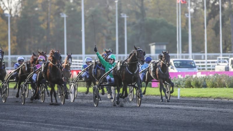 12 des 18 partants ont participé au Prix de Bretagne - Amérique Races PMU Q1