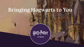 Le site "Harry Potter at Home"