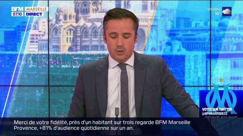 Bouches-du-Rhône: les vignes souffrent de la sécheresse et des températures