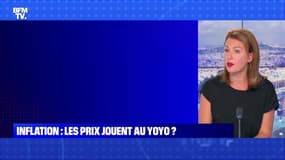 BFMTV répond à vos questions : De nouveaux drapeaux sur les plages - 07/07