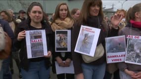 D'anciens salariés et bénévoles du refuge ATPA-SPA de Toulouse manifestent devant l'établissement pour dénoncer des maltraitances visant les animaux, le 9 mars 2024