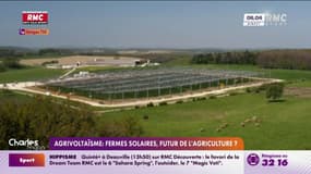 Compte à rebours lancé pour l'agrément de l'ONG Anticor