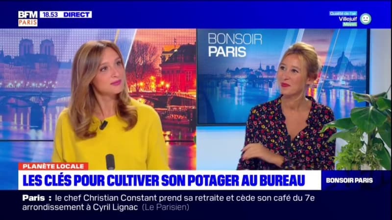 "Planète locale" du lundi 20 septembre