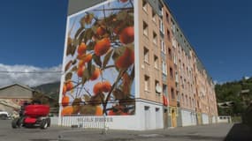 Rémi Tournier, un artiste venu du Lot, a bientôt terminé sa fresque dans les quartiers des Toulouzannes à Briançon, dans le cadre du street-art festival.